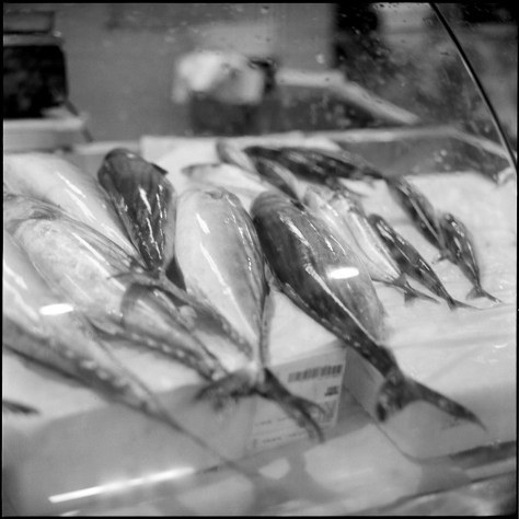 Fish, Mercato Centrale