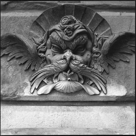 Fountainhead, Palazzo Pitti