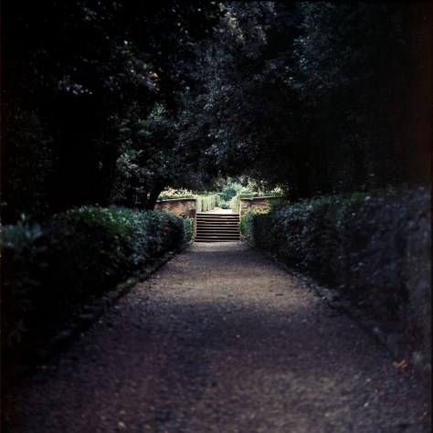 Garden Allee, Boboli Gardens