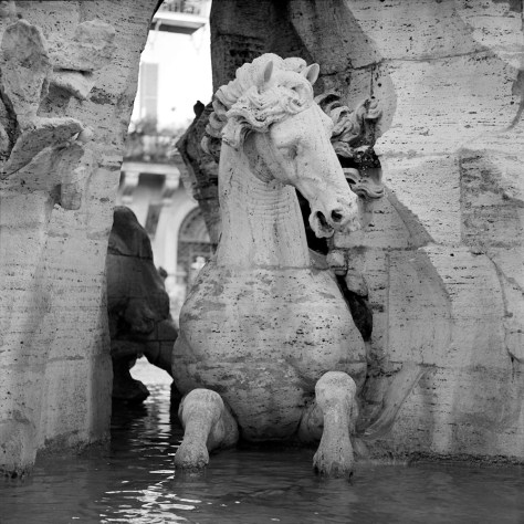 Horse, Four Rivers Fountain, Piazza Navona