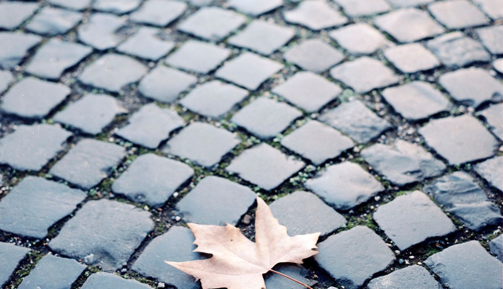 Leaf, Centrale Montemartini