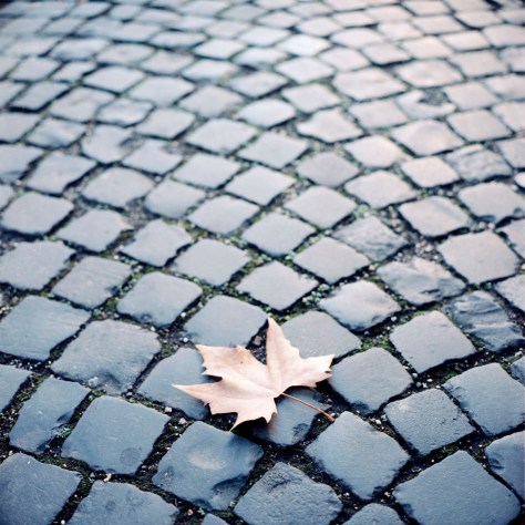 Leaf, Centrale Montemartini