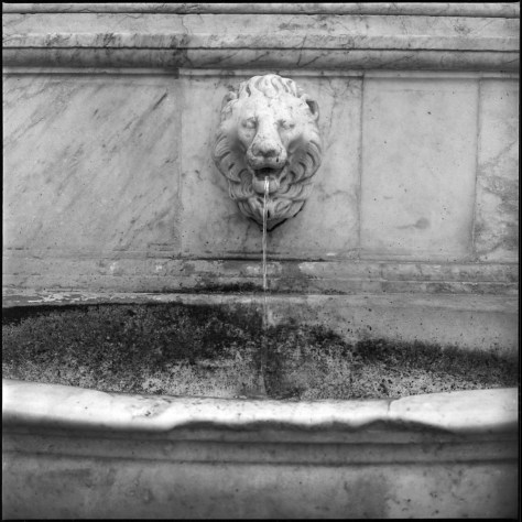 Lion Head Fountain, San Lorenzo, Florence