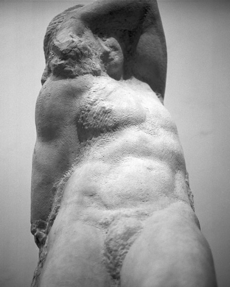 Unfinished Sculpture