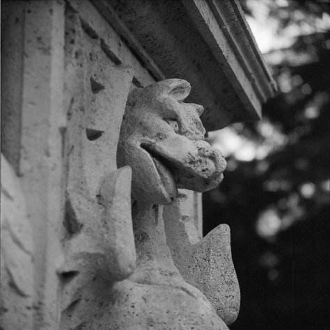 Dragon, Profile, Villa Borghese