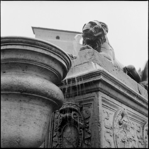 Fountain, Capitoline Steps, In the Wind and Rain