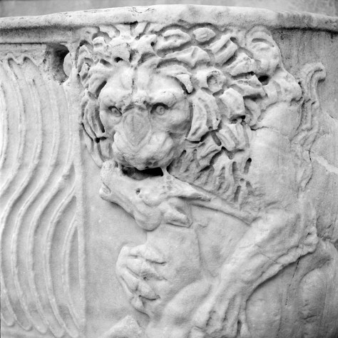 Lion and Stag, Villa Borghese