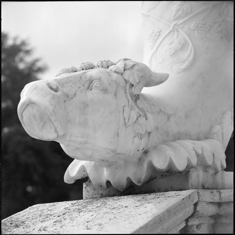 Marble Bulls Head, Villa Borghese
