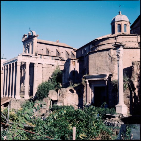 Temple of Antoninus and Faustian and the Temple of Romulus