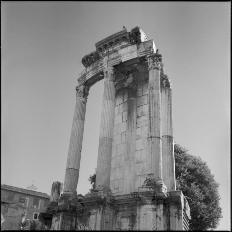 The Temple of Vesta