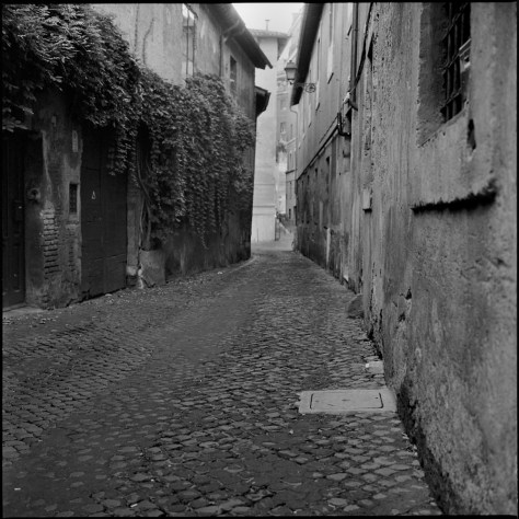 Twisty Alley, Trastevere