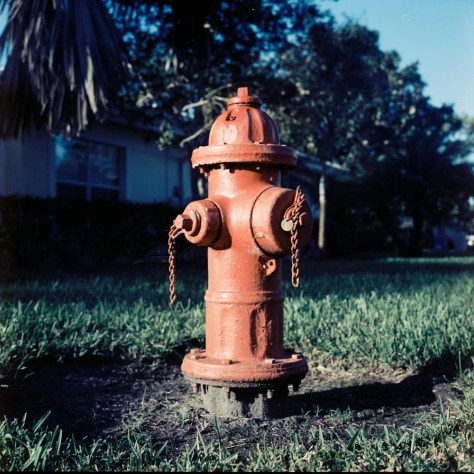 Fire Hydrant, Vero Beach