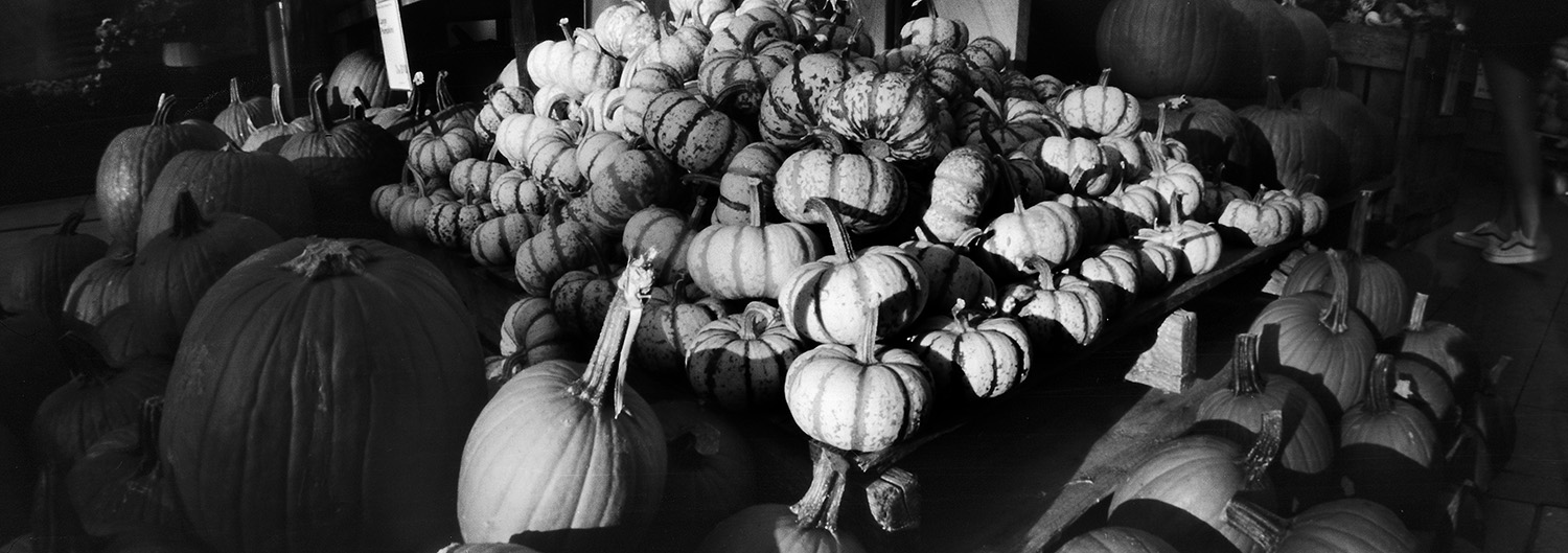 PumpkinsWholeFoodsGW617