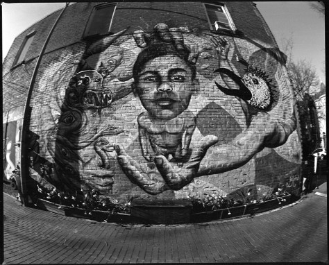 GarudaMural2018BWFisheye