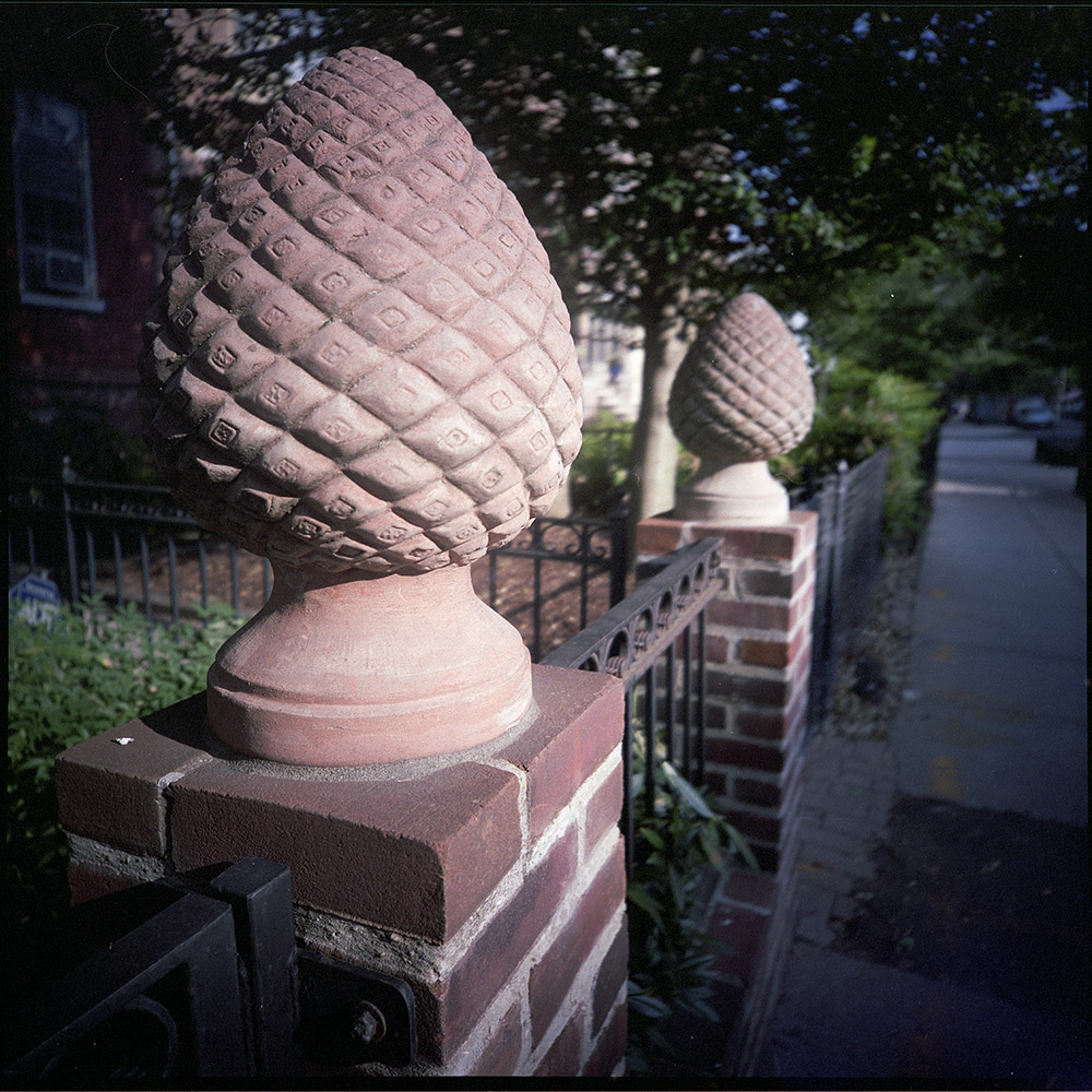 ConcretePineconeDupont