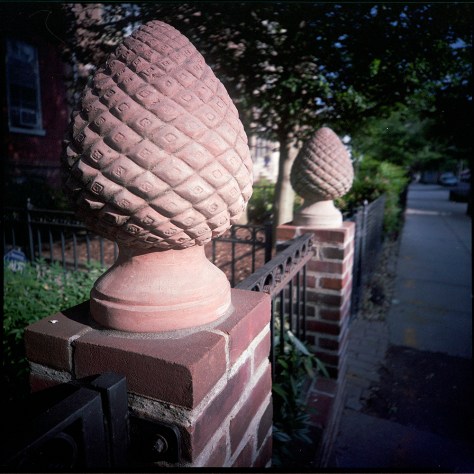 ConcretePineconeDupont